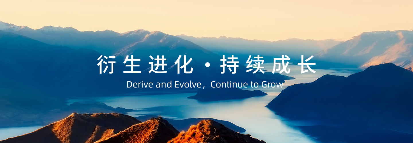 衍生进化持续成长